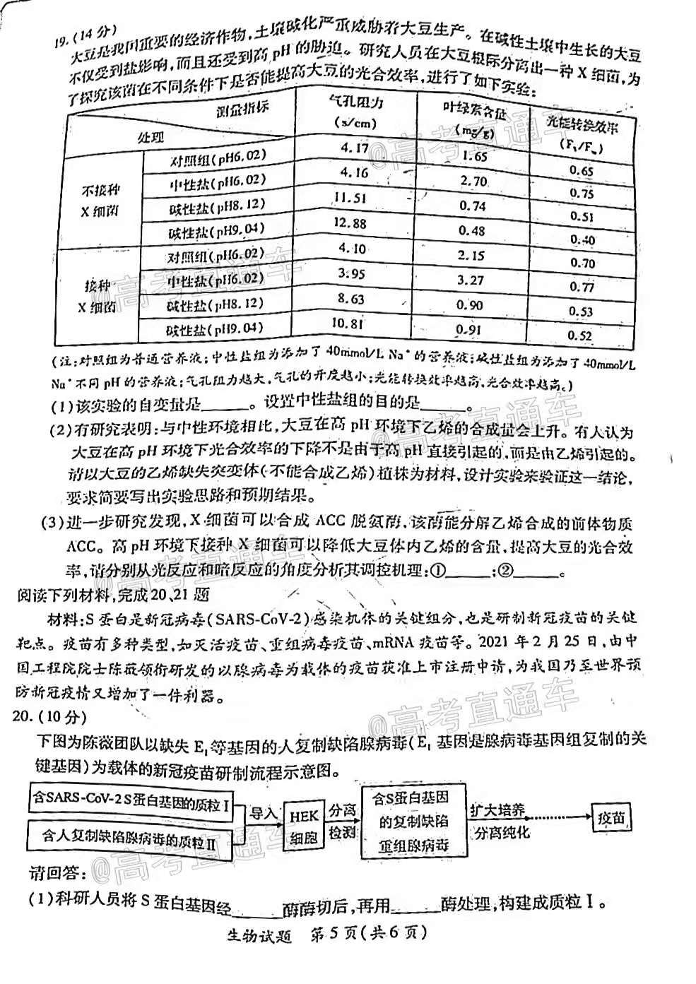 澳门四肖,最新解答解析说明_动态版23.250