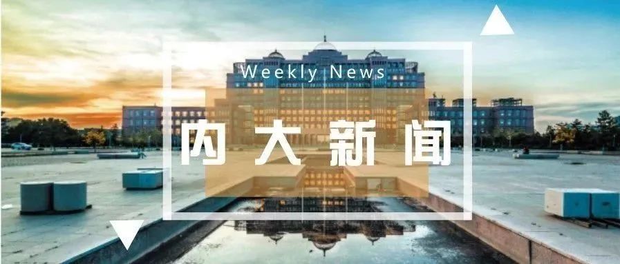 大新最新新闻速递