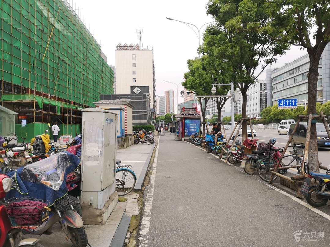 武汉滨湖街最新动态，城市发展的脉搏与未来展望