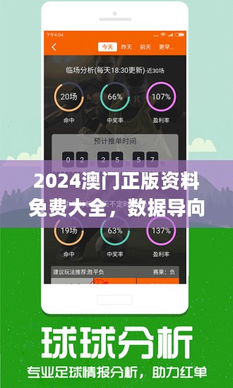 2024新澳门正版免费资料,数据驱动执行方案_4DM34.698